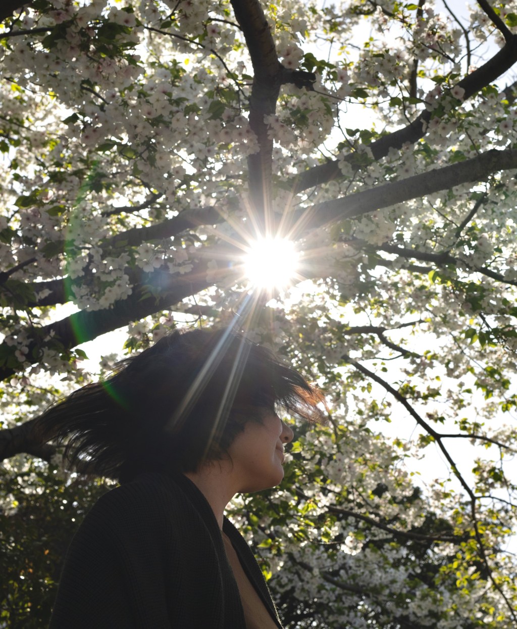 Год ежедневных постов. День первый.